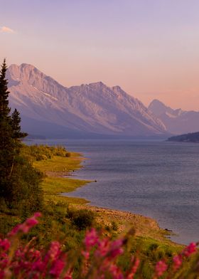 Mountain Sunset