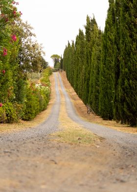 Country road