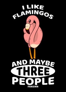 I Like Flamingos And Maybe