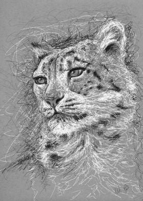 snowleopard in scribble