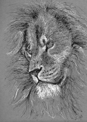 lion portrait in scribble 