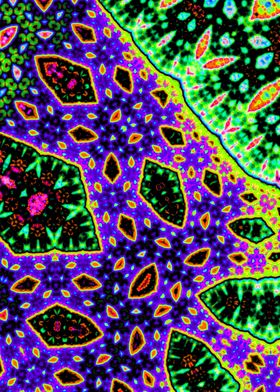 Neon Groovy Fractal Art