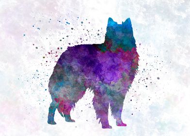 Belgian Shepherd Dog 