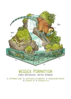 Wessex Formation 2