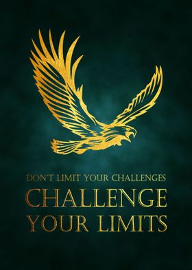 17 Challenge Your Limits