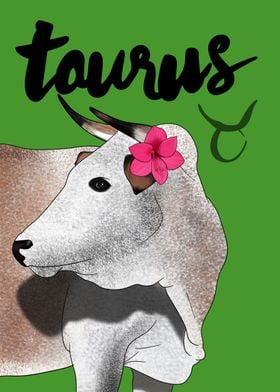 Taurus