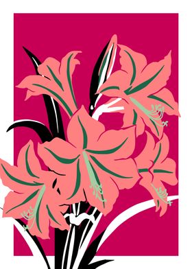 Bold Flower Amaryllis pink