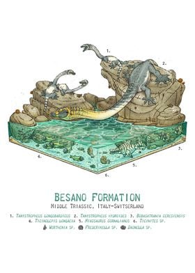 Besano Formation