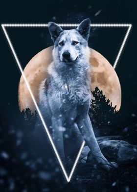 Night fantasy wolf moon