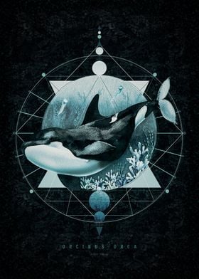 Orca and Geometry