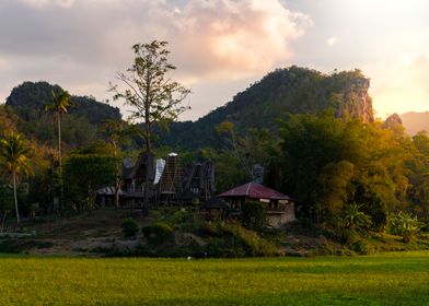 Tana Toraja