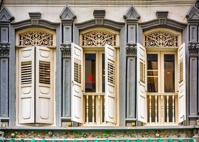 The Singapore Shophouse