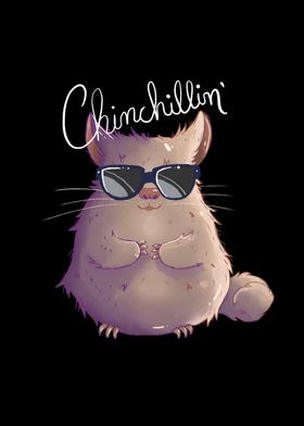 Chinchilla Lovers I Pet