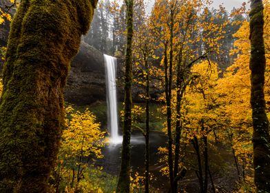 Golden autumn waterfall