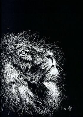 lion portrait in scribble 