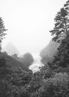 Oregon Fog Black and White