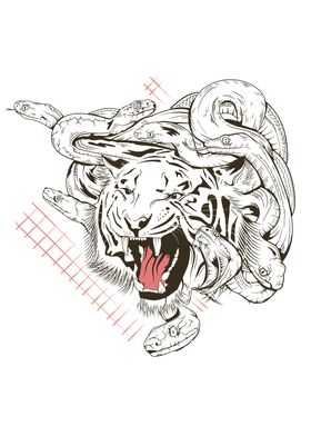 Medusa Tiger