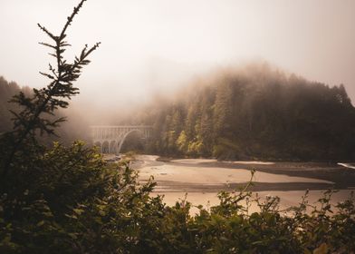 Heceta Head Beach Oregon