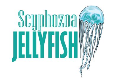 Scyphozoa Jellyfish 
