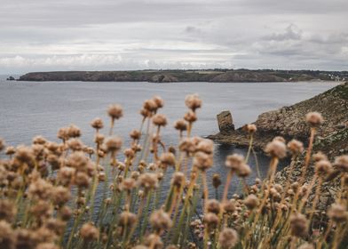 Pointe du Raz