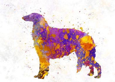 Borzoi in watercolor
