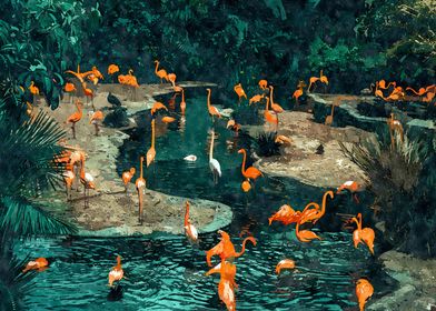 Flamingo Creek