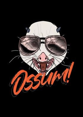 Ossum Possum Opossum