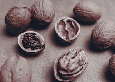 Walnut