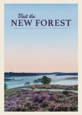 Visit the New Forest