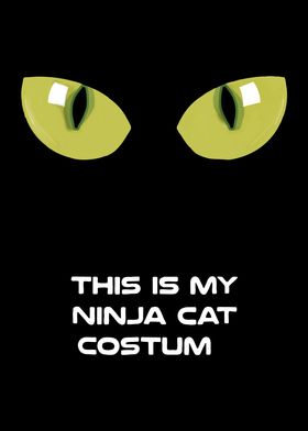 ninja cat costume