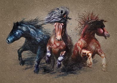Horses Background