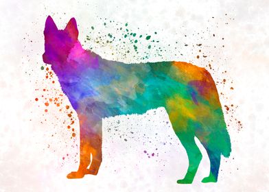 Czechoslovakian Wolfdog 