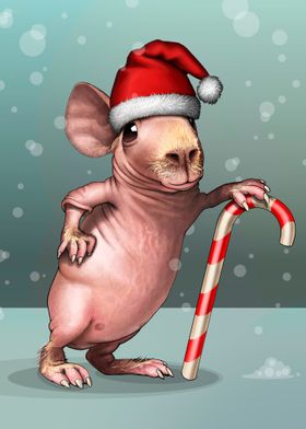 Skinny Pig Christmas Hat