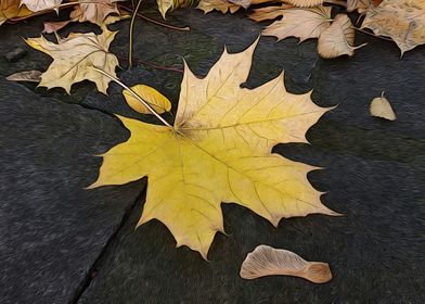 Leaves on sidewalk