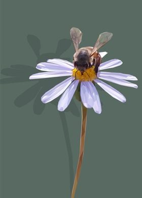 Bee on Blue Aster Flower