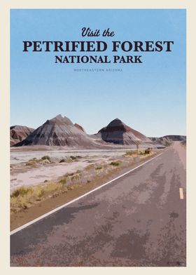 Visit the Petrified Forest