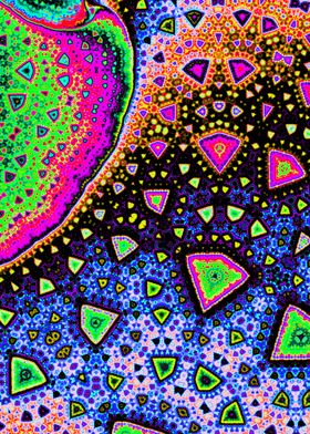 Colorful Vibrant Fractal 