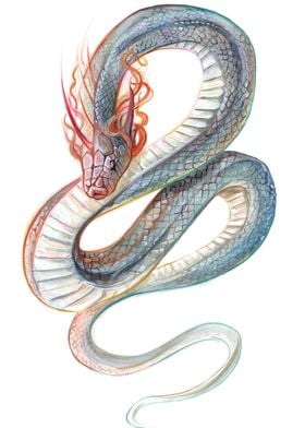 Rainbow Serpent Dragon