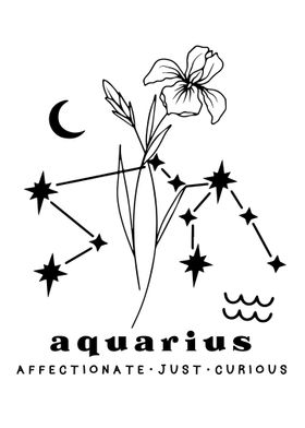 Aquarius Zodiac