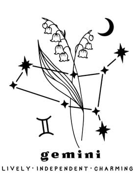 Gemini Zodiac