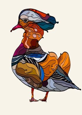 Mandarin duck 