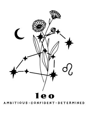 Leo Zodiac