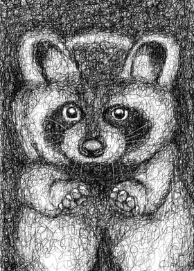 raccoon scribbles