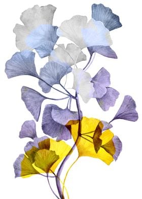 ginkgo floral decoration