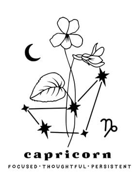 Capricorn Zodiac