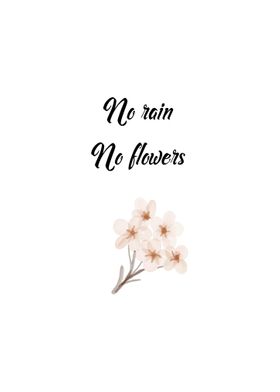 No Rain No Flower