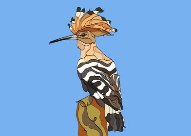 PUPUT Eurasian hoopoe