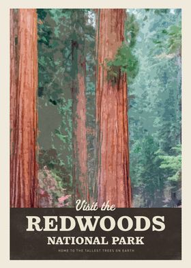 Visit Redwood 