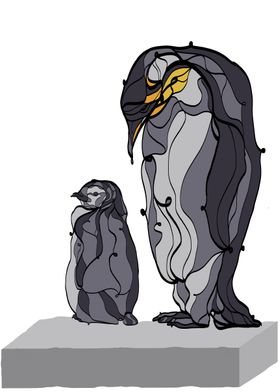 Father penguin