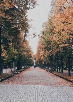 Autumn park scene